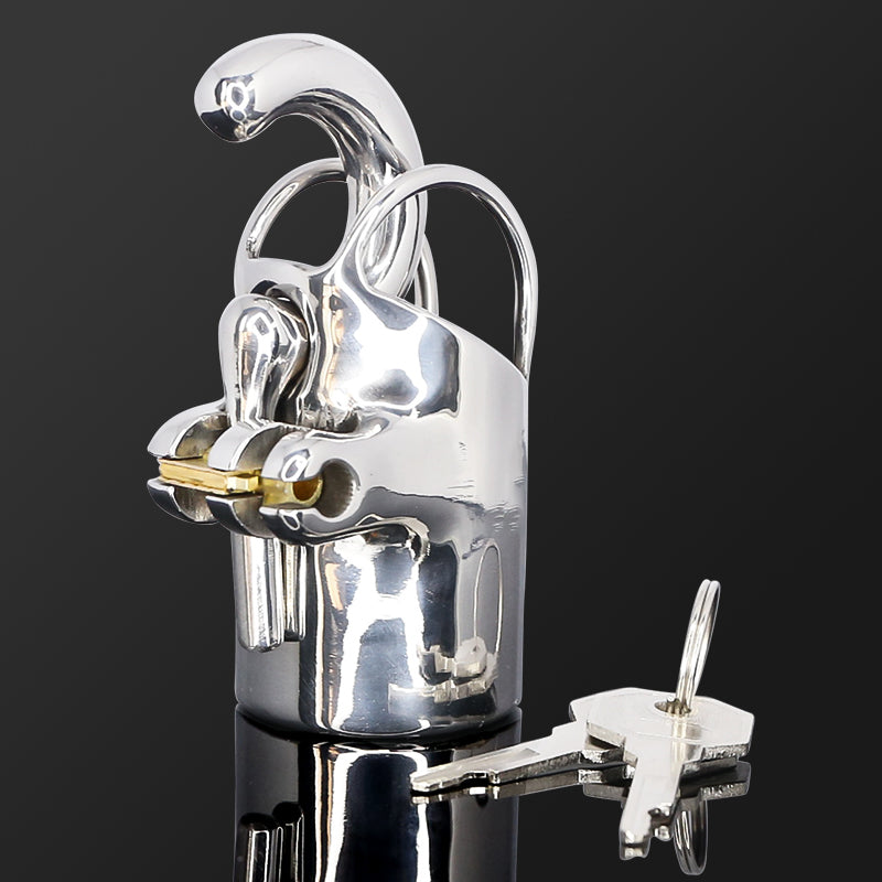 CH29 - Luxury PA Chastity Cage / Titanium PA Lock