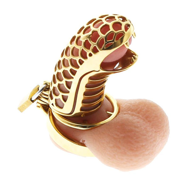 24K Gold Dragon Chastity FLAT Ring  3.34