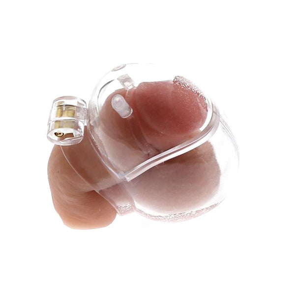 Fully enclosed Chastity Cage